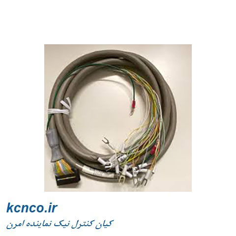 پی ال سی امرن کد G79-Y200C H