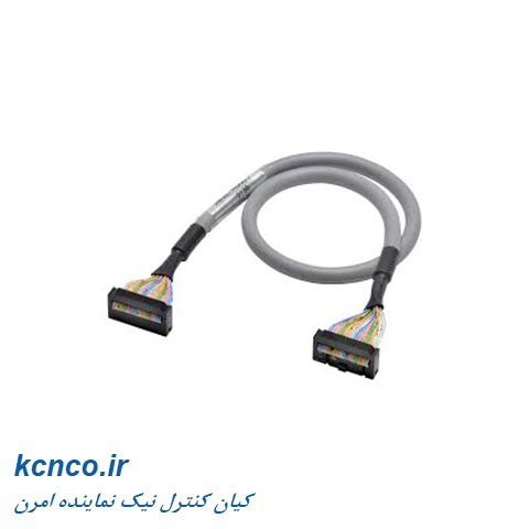 پی ال سی امرن کد XW2Z-200J-B5 F